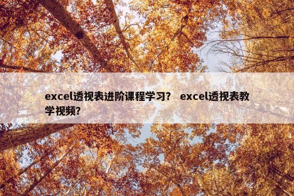excel透视表进阶课程学习？ excel透视表教学视频？