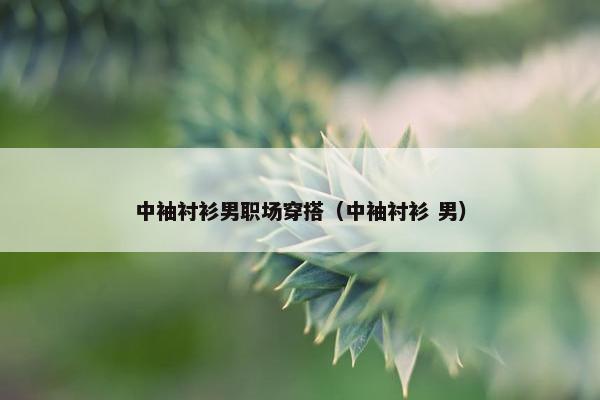 中袖衬衫男职场穿搭（中袖衬衫 男）
