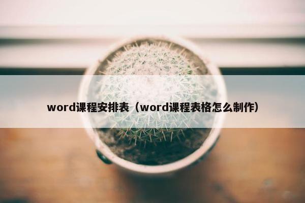 word课程安排表（word课程表格怎么制作）