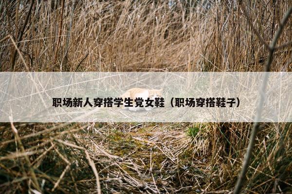 职场新人穿搭学生党女鞋（职场穿搭鞋子）