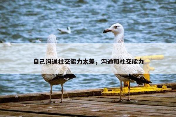 自己沟通社交能力太差，沟通和社交能力