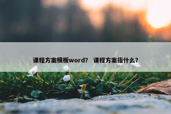 课程方案模板word？ 课程方案指什么？