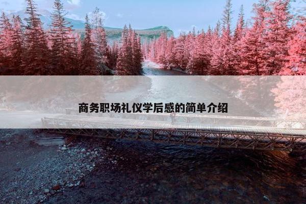商务职场礼仪学后感的简单介绍