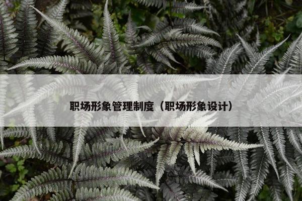 职场形象管理制度（职场形象设计）