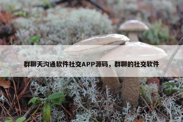 群聊天沟通软件社交APP源码，群聊的社交软件