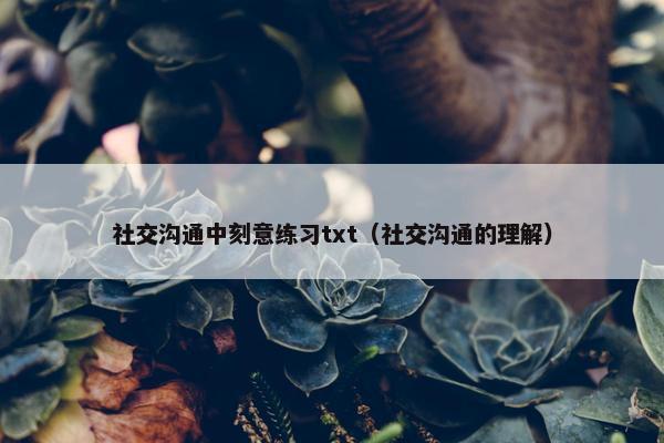 社交沟通中刻意练习txt（社交沟通的理解）