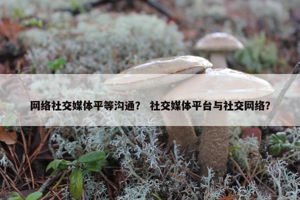 网络社交媒体平等沟通？ 社交媒体平台与社交网络？