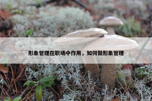 形象管理在职场中作用，如何做形象管理