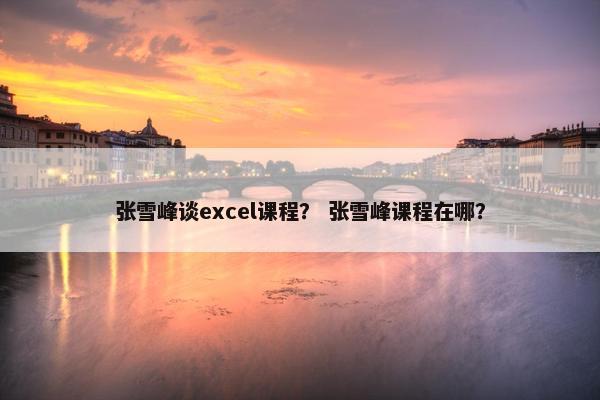 张雪峰谈excel课程？ 张雪峰课程在哪？