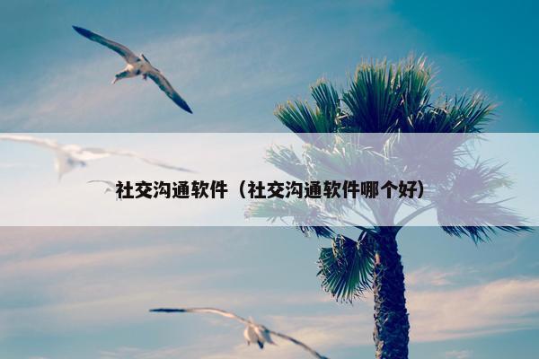 社交沟通软件（社交沟通软件哪个好）