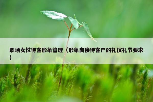 职场女性待客形象管理（形象岗接待客户的礼仪礼节要求）