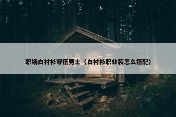 职场白衬衫穿搭男士（白衬衫职业装怎么搭配）
