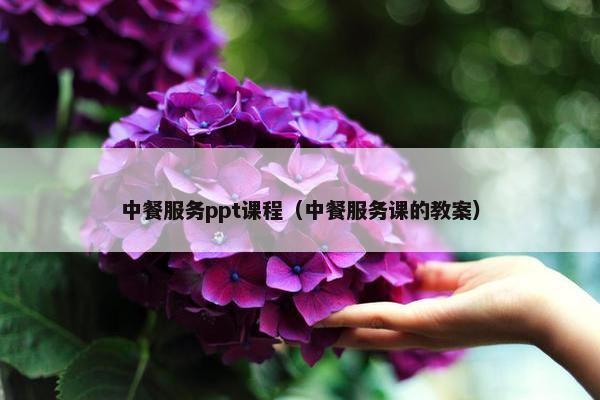 中餐服务ppt课程（中餐服务课的教案）