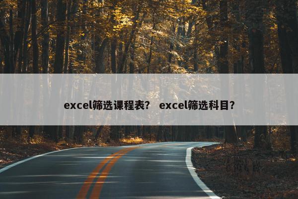 excel筛选课程表？ excel筛选科目？