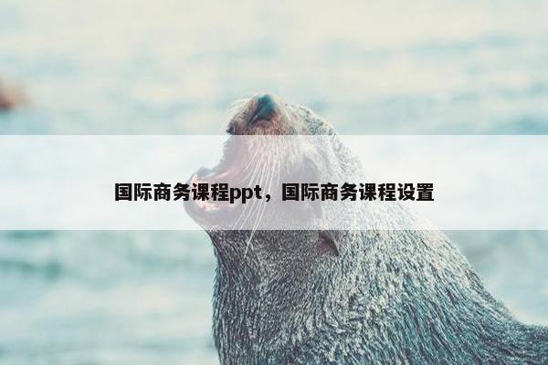 国际商务课程ppt，国际商务课程设置