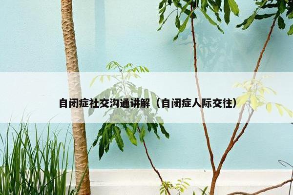 自闭症社交沟通讲解（自闭症人际交往）