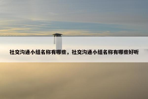 社交沟通小组名称有哪些，社交沟通小组名称有哪些好听