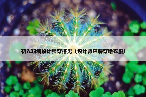 初入职场设计师穿搭男（设计师应聘穿啥衣服）