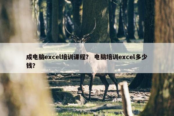 成电脑excel培训课程？ 电脑培训excel多少钱？