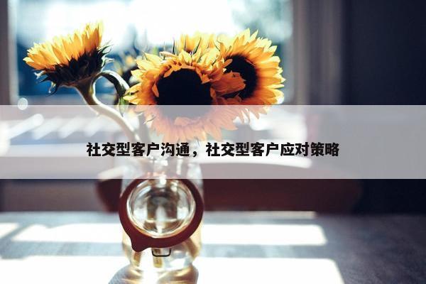 社交型客户沟通，社交型客户应对策略