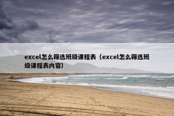 excel怎么筛选班级课程表（excel怎么筛选班级课程表内容）