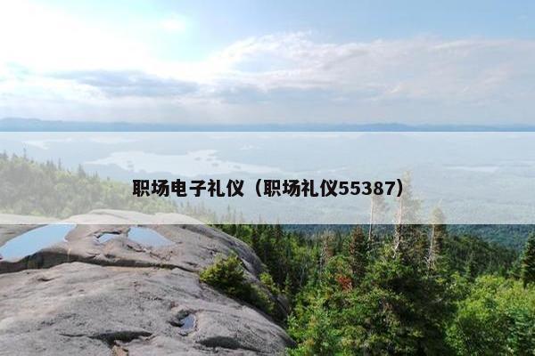职场电子礼仪（职场礼仪55387）