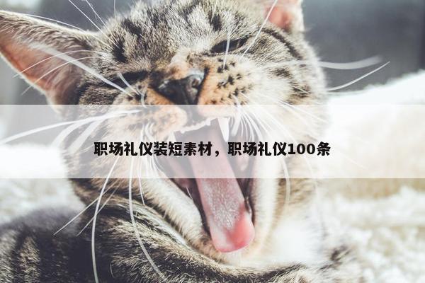 职场礼仪装短素材，职场礼仪100条