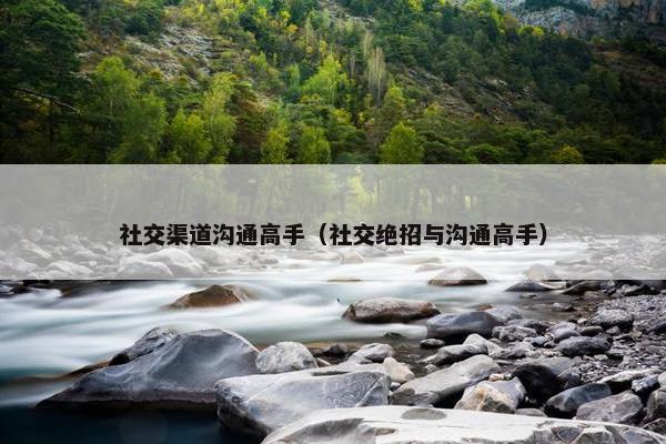 社交渠道沟通高手（社交绝招与沟通高手）