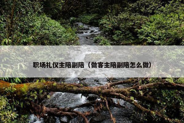 职场礼仪主陪副陪（做客主陪副陪怎么做）