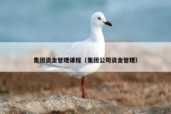 集团资金管理课程（集团公司资金管理）