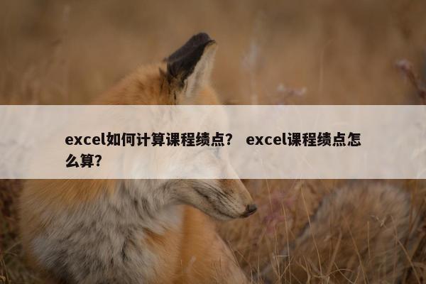 excel如何计算课程绩点？ excel课程绩点怎么算？