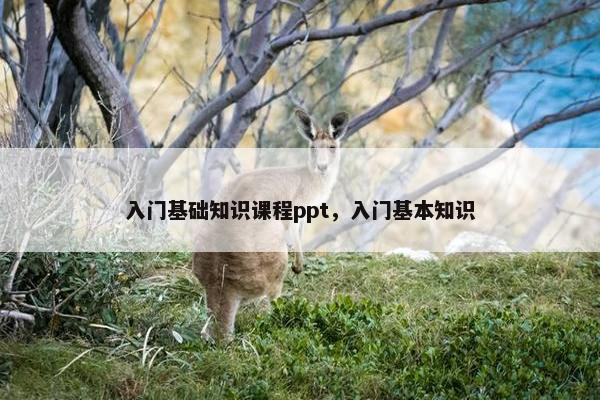 入门基础知识课程ppt，入门基本知识