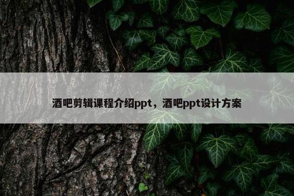 酒吧剪辑课程介绍ppt，酒吧ppt设计方案
