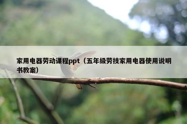 家用电器劳动课程ppt（五年级劳技家用电器使用说明书教案）