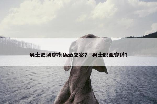 男士职场穿搭语录文案？ 男士职业穿搭？