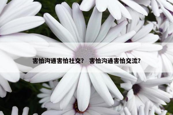害怕沟通害怕社交？ 害怕沟通害怕交流？