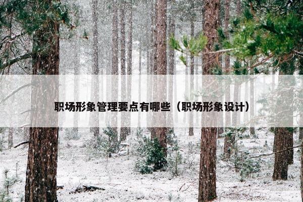 职场形象管理要点有哪些（职场形象设计）