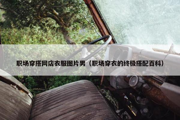 职场穿搭网店衣服图片男（职场穿衣的终极搭配百科）