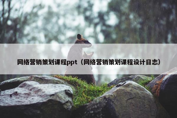 网络营销策划课程ppt（网络营销策划课程设计日志）