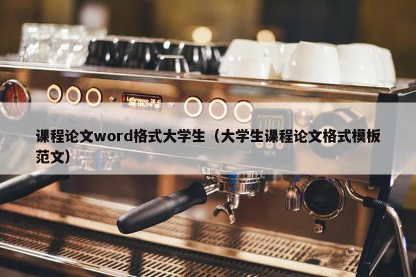 课程论文word格式大学生（大学生课程论文格式模板范文）