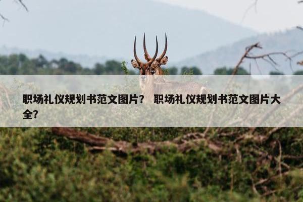 职场礼仪规划书范文图片？ 职场礼仪规划书范文图片大全？