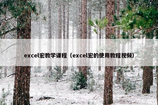 excel宏教学课程（excel宏的使用教程视频）