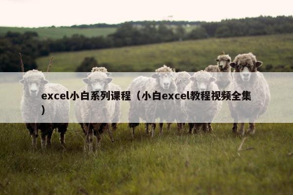 excel小白系列课程（小白excel教程视频全集）