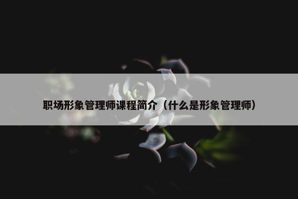 职场形象管理师课程简介（什么是形象管理师）
