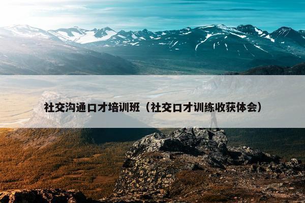 社交沟通口才培训班（社交口才训练收获体会）