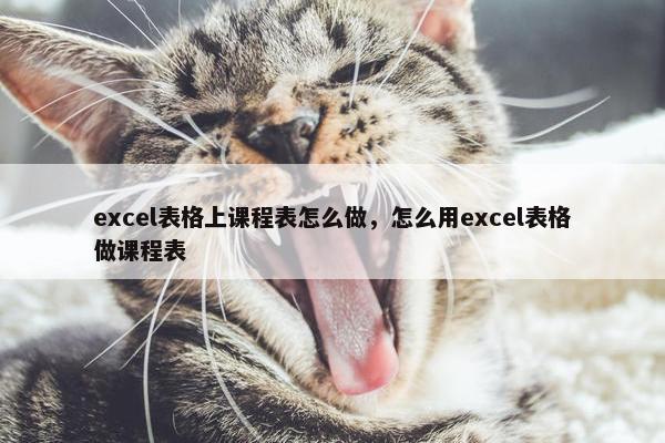 excel表格上课程表怎么做，怎么用excel表格做课程表