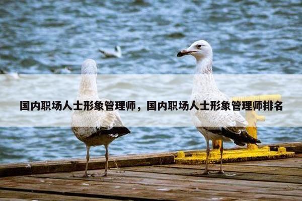 国内职场人士形象管理师，国内职场人士形象管理师排名