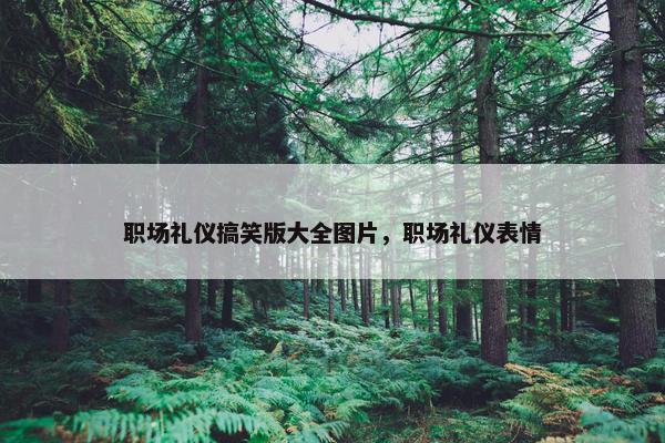 职场礼仪搞笑版大全图片，职场礼仪表情