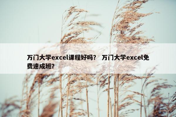 万门大学excel课程好吗？ 万门大学excel免费速成班？