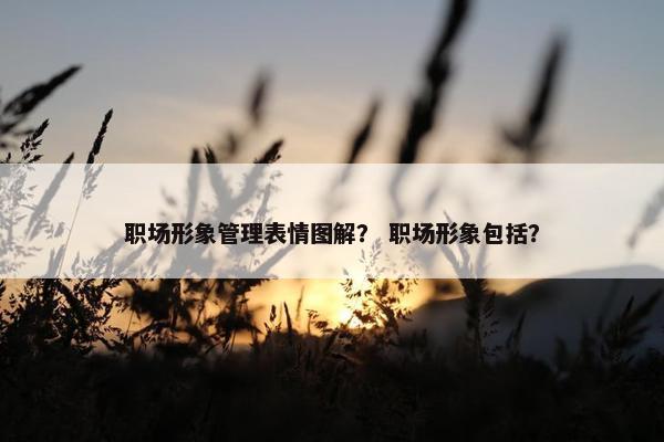 职场形象管理表情图解？ 职场形象包括？